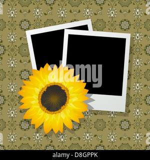 Cornici fotografiche con semi di girasole Foto Stock