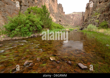 Pecore Creek Canyon, Idaho meridionale. Foto Stock