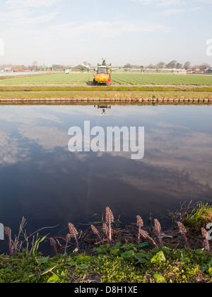 Il trattore la spruzzatura di pesticidi su campi di tulipani con canal e impianti idrici in primo piano. Concetto di gestione del territorio e dell'ambiente. Foto Stock