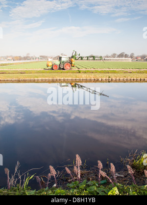 Il trattore la spruzzatura di pesticidi su campi di tulipani con la riflessione sulla superficie di un canale. Concetto di gestione del territorio e dell'ambiente. Foto Stock