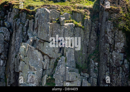 Rocciatore sulla rupe di pelatura del Northumberland Foto Stock