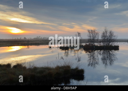 Sunrise, goldenstedter moor, Bassa Sassonia, Germania Foto Stock