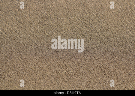 Carta da parati sabbia Foto Stock