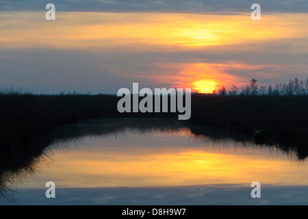 Sunrise, goldenstedter moor, Bassa Sassonia, Germania Foto Stock