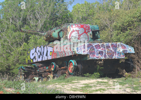 Dipinto Graffiti serbatoio sul flamenco spiaggia di Puerto Rico Foto Stock