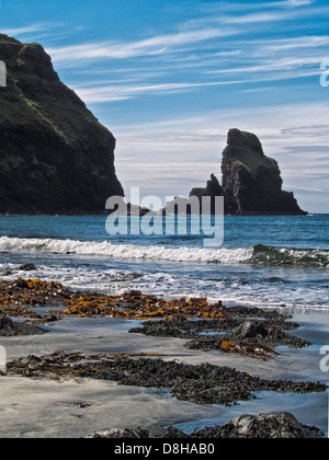 Talisker Bay, Isola di Skye in Scozia Foto Stock