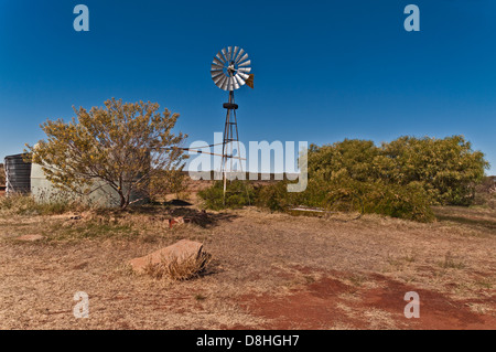 Ben 33, CANNING STOCK ROUTE, Australia occidentale, Australia Foto Stock