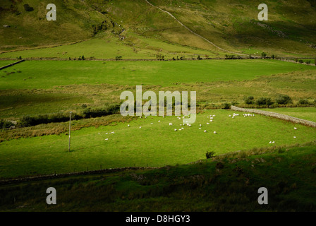 Nant Ffrancon Pass, Ogwen Valley, il parco nazionale di Snowdonia, Galles Cymru, Gran Bretagna, Regno Unito Foto Stock