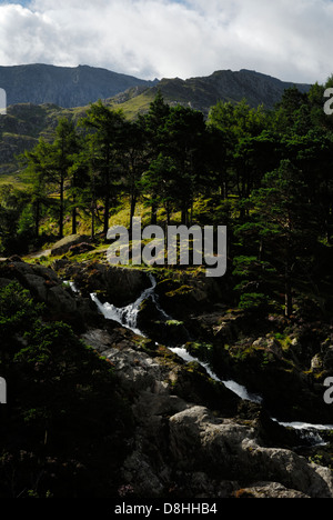 Rhaeadr Ogwen o Ogwen cade, gamma Glyderau, parco nazionale di Snowdonia, Galles Cymru, Gran Bretagna, Regno Unito Foto Stock