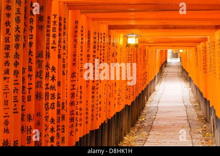 Apan, Honshu, regione di Kansai, Kyoto, Fushimi-Inari Taisha, lanterne sospese tra torii gates Foto Stock