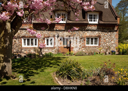 Un incantevole cottage thatched house in primavera, Ranworth, Norfolk East Anglia UK Foto Stock