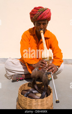 India Rajasthan, Jaipur, ritratto di un serpente incantatore Foto Stock