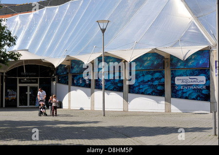 Acquario di Bristol Foto Stock