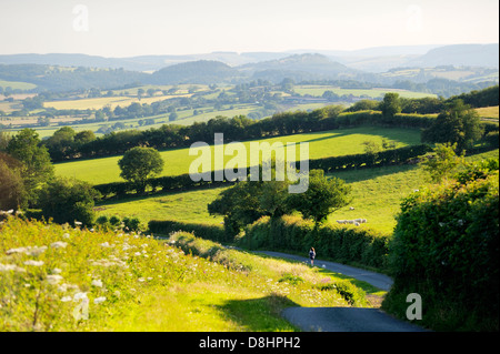 Giovane donna SW a piedi verso il basso Wander Wagoners strada rurale sul fianco est del colle Ragleth, Shropshire, Inghilterra verso Little Stretton Foto Stock