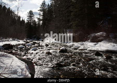 Bella Hyalite Creek accanto a Hyalite Canyon Road in Gallatin National Forest. Foto Stock