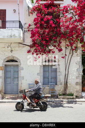 Vecchia casa con bougainvillea sulla strada principale del villaggio Kardamyli nelle mani esterna, Messinia, Peloponneso, Grecia. Foto Stock