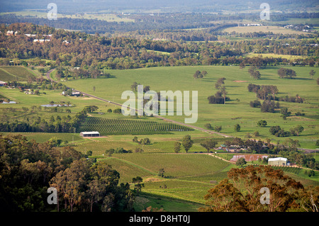 Vista panoramica della Valle del Cacciatore con vigneti NSW Australia Foto Stock