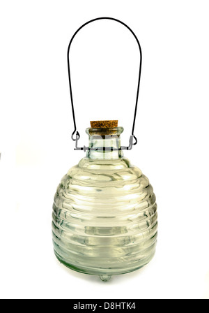 Vetro annaffiatoio jar, una volta riempito il miele e appeso in giardino per attirare le vespe di un appiccicoso scomparsa. Foto Stock