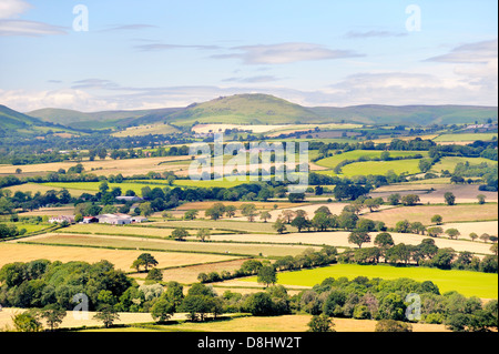 A sud-ovest da Wenlock Edge vicino Easthope su terreni agricoli estivi di Ape Dale a Caer Caradoc e la lunga Mynd, Shropshire Inghilterra Foto Stock