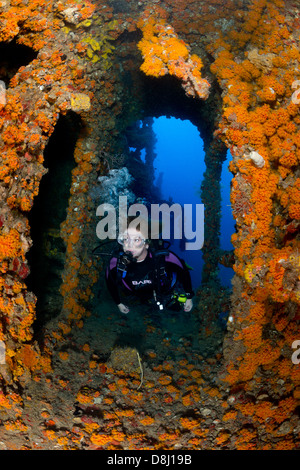 Una femmina sub nuota attraverso una apertura in un naufragio vicino a Pompano Beach, Florida Foto Stock