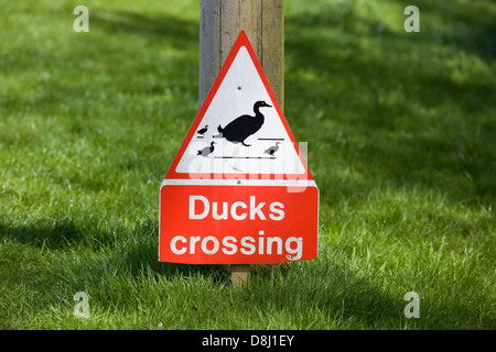 Segno per anatre Crossing Foto Stock