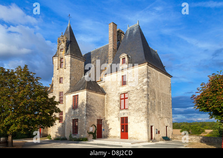 Castello di Neuvicq le Chateau, Charente Maritime, Francia Foto Stock