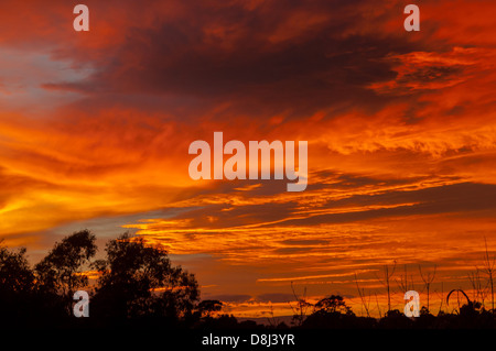 Alba sulle colline di Kinglake, Victoria, Australia Foto Stock