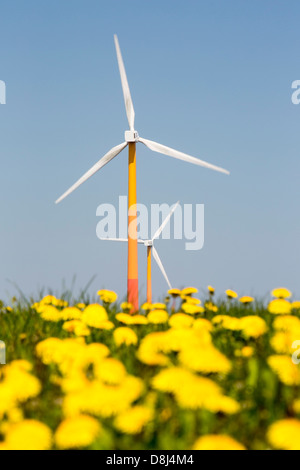 Colorato turbine eoliche in polder, terra recuperata nei pressi di Almere, Flevoland, Paesi Bassi. Foto Stock