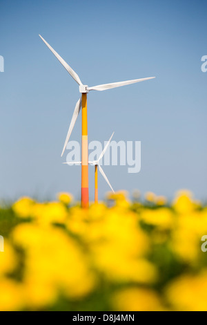 Colorato turbine eoliche in polder, terra recuperata nei pressi di Almere, Flevoland, Paesi Bassi. Foto Stock