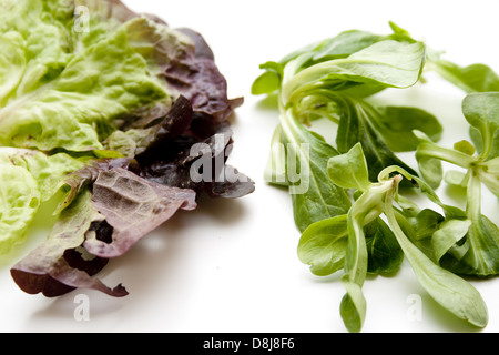 Insalata di campo Foto Stock