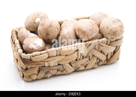 I funghi nel cestello Foto Stock
