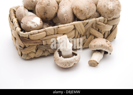 I funghi nel cestello Foto Stock