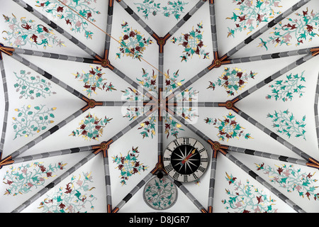 Paesi Bassi, Haarlem, St Bavo Chiesa, interno, soffitto, Foto Stock