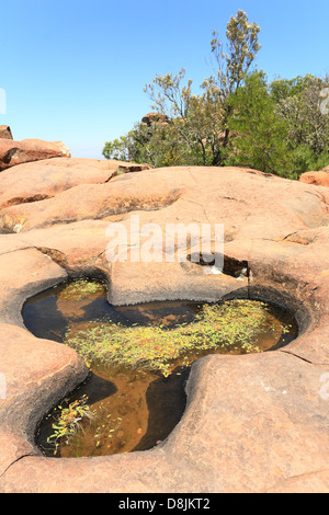 Rock pool nella valle della desolazione, Graaff Reinet, Capo orientale, Sud Africa Foto Stock