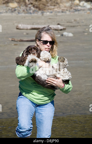 Una donna che porta un cane attraverso una piccola corrente Foto Stock