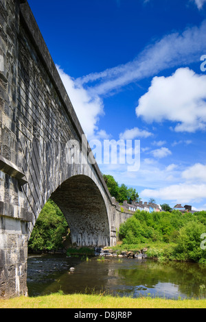 Ponte sul Fiume Towy Llandeilo Galles Carmarthenshire Foto Stock