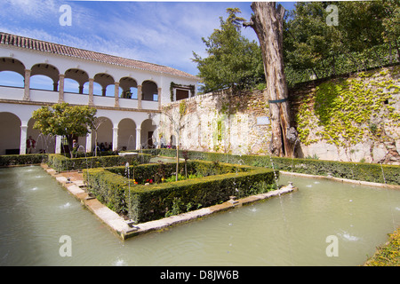 Fontane e giardino ornamentale nell'Alhambra - Patio de la Sultana, Generalife. Granada, Spagna Foto Stock