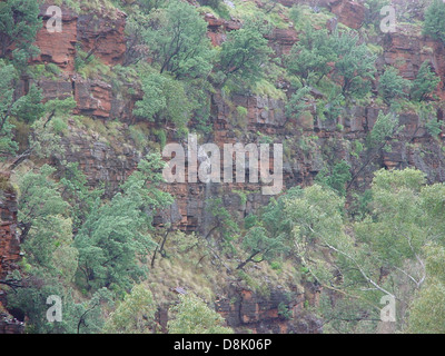 Vista laterale delle cascate Fortescue, catturate durante le precipitazioni. L'acqua scende dalle rocce, creando una dinamica e potente esposizione della natura in movimento. Foto Stock