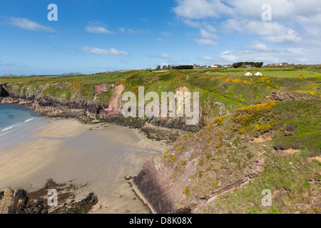 Caerfai Pembrokeshire West Wales UK vicino a St Davids e nel Parco Nazionale della Costa del. Welsh sentiero costiero passa da. Foto Stock