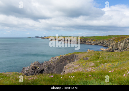 Pembrokeshire Coast Path nota come Llwybr Arfordir Sir Benfro in Welsh costituisce parte del Wales coast Path Foto Stock