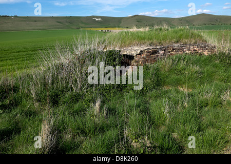 Scatola di pillole di guerra tra Stanton St Bernard e Alton Barnes Foto Stock