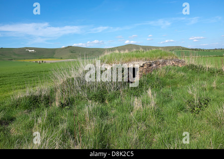 Scatola di pillole di guerra tra Stanton St Bernard e Alton Barnes Foto Stock