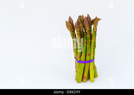 Mazzetto di asparagi su sfondo bianco con nastro viola Foto Stock