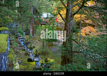 Lanterne di pietra del Santuario Futarasan in Nikko, Giappone Foto Stock