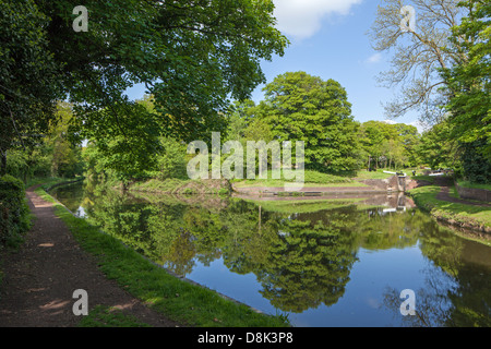 Canal riflessioni a Storton giunzione sul personale e Worcester Canal, Staffordshire, England, Regno Unito Foto Stock