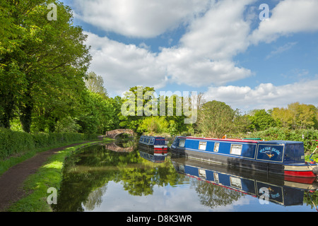 Canal riflessioni a Storton giunzione sul personale e Worcester Canal, Staffordshire, England, Regno Unito Foto Stock