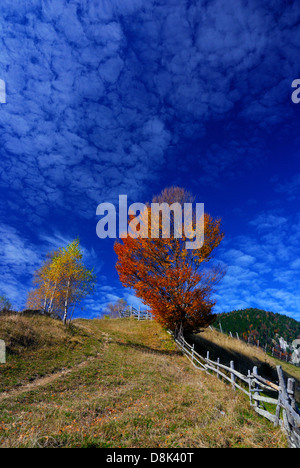 In autunno il paesaggio rurale in Romania, Piatra Craiului, montagne dei Carpazi Foto Stock