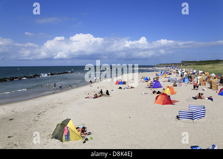 Spiaggia di Wustrow, Fischland, mar Baltico, Meclemburgo-Pomerania, Germania Foto Stock