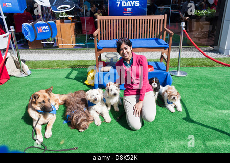 Metro banca promuove la una nuova banca apertura n Slough, Berkshire, Inghilterra con esecuzione di cani. Foto Stock