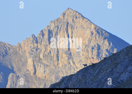 Col d'Izoard Foto Stock